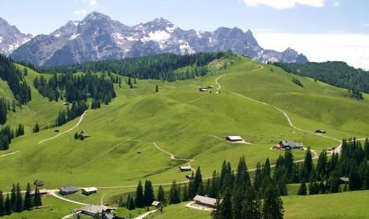 Fewo Schlosspark Grubhof Санкт-Мартин-бай-Лофер Экстерьер фото